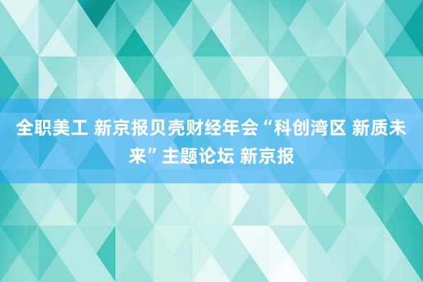 全职美工 新京报贝壳财经年会“科创湾区 新质未来”主题论坛 新京报