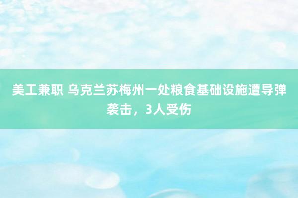 美工兼职 乌克兰苏梅州一处粮食基础设施遭导弹袭击，3人受伤